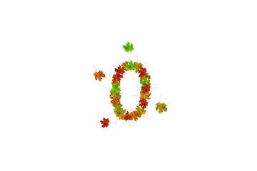 Number zero made with autumn leaves isolated on white. Fall concept. Organic digits from 0 to 9