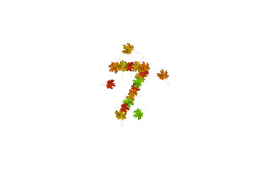 Number seven made with autumn leaves isolated on white. Fall concept. Organic digits from 0 to 9