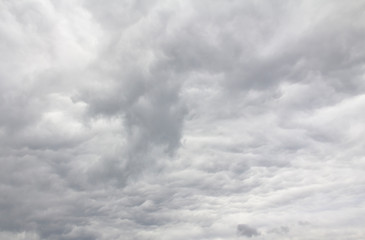Fototapeta premium Cloudy sky, dark low Cumulus clouds, rainy weather