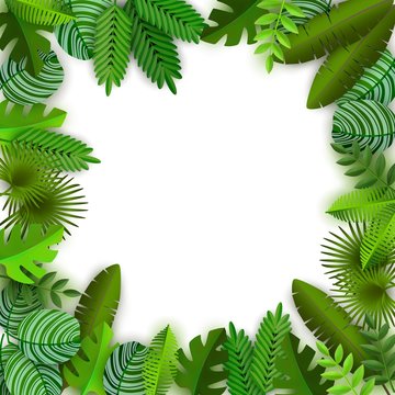 Jungle background with palm leaves and space for text vector illustration isolated.