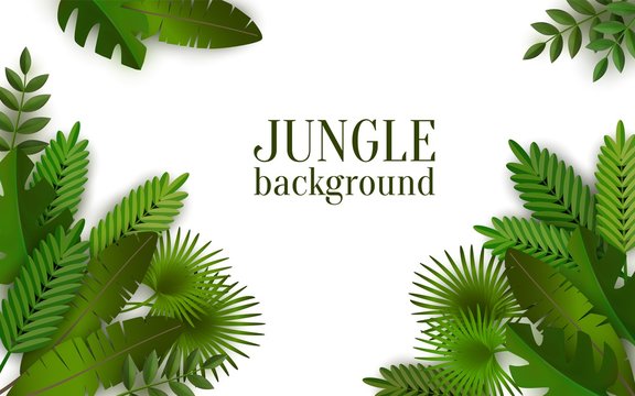 Green tropical jungle background with leaves, summer frame.