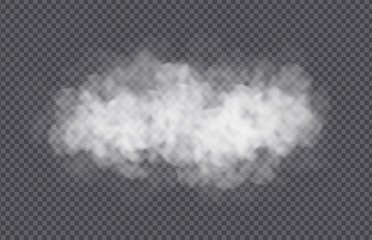 Fog or smoke cloud isolated on transparent background. Realistic smog, haze, mist or cloudiness effect. Realistic vector illustration. © Likanaris