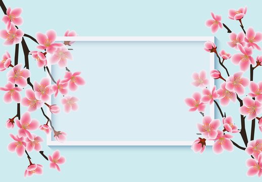 Cherry blossom card template with realistic pink sakura branches