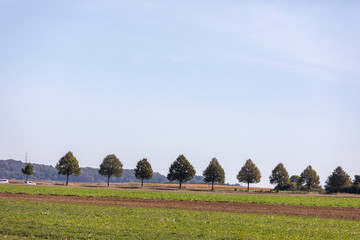 German countryside landscape: series of trees with hills as background