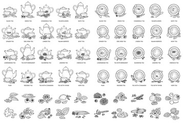 Black and white tea types drawing set - vector illustration - obrazy, fototapety, plakaty