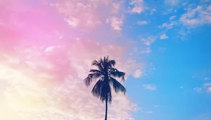 Papier Peint photo Lavable Violet pâle Silhouette sombre de cocotiers contre un ciel coucher de soleil coloré sur une île tropicale. Fond de concept de vacances et de voyages exotiques.