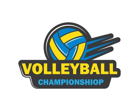 badge and logo of volley ball club vector icon illustration