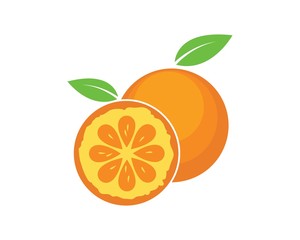 orange fruit icon vector logo illustration