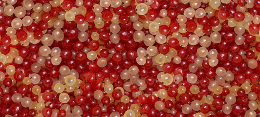 Texture red and white currants