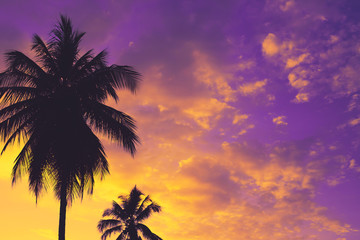 Fototapeta na wymiar Silhouettes of coconut palm trees against colorful sunset sky on tropical island. Vacation and exotic travel concept background.