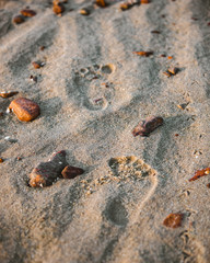 footprints in sand with stones around