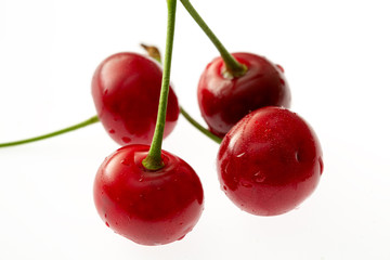 Cherry isolated on white background. Cherry with leaves in closeup