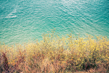 view of the calm turquoise sea from above a cliff with vegetation