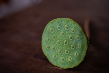 Lotus seed pods. Green lotus seed pods background