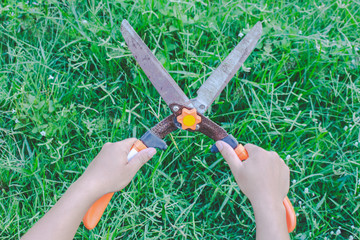 Fototapeta premium cutting the grass with scissors