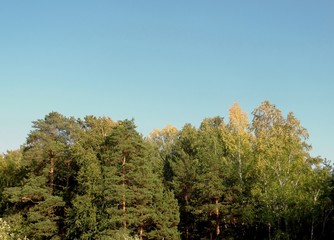 Autumn landscape on the shore of a stone quarry. A variety of colors among the trees and shrubs against the blue sky.