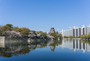 Fototapeta na wymiar Hiroshima castle with sakura flower blooming