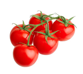 Branch of tomato isolated on white background