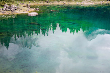 Riflessi di alberi sulla superficie di un lago