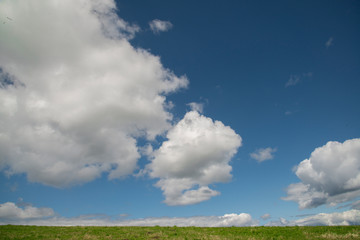 Fototapeta na wymiar Orizzonte con nuvole e cielo blu