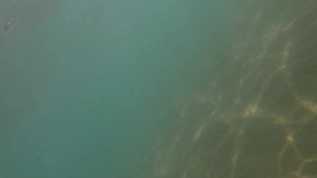 Slow motion forward moving underwater rotation 180 degrees