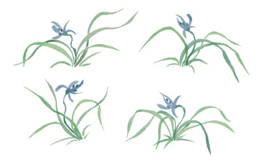 wild orchid by ink. set of wild orchids in watercolor
