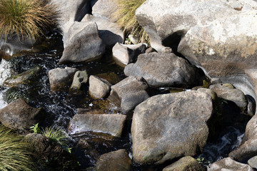 Rio no bosque de montanha