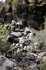 Rio no bosque de montanha