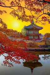Obraz premium Autumn season of Gyeongbokgung Palace in Seoul,South Korea.