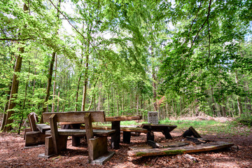 Fototapeta na wymiar Leftover benches in the forest
