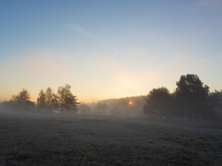 Fototapeta na wymiar Autumn landscape. Early morning, the grass is covered with hoarfrost. Fog over the field. The Sun is rising. Autumn forest in the background.