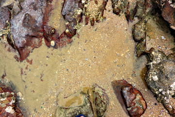 rocks on the beach