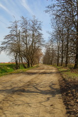 Road immersed in the winter countryside