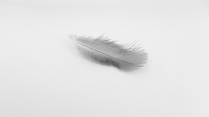 Light and soft puffy feather