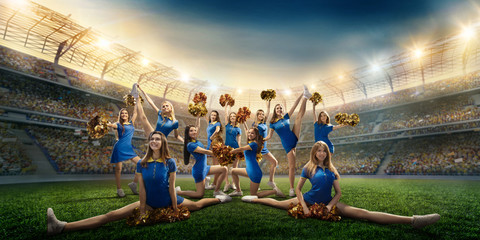 Group of cheerleaders in action on the professional stadium. The stadium and crowd are made in 3d