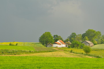Wiosna. © Rafa