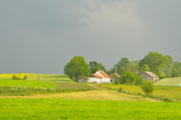 Wiosna. © Rafa