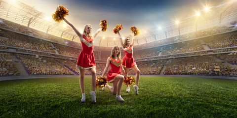 Group of cheerleaders in action on the professional stadium. The stadium and crowd are made in 3d - obrazy, fototapety, plakaty