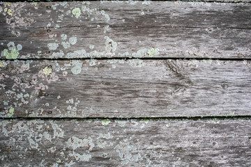 Wooden Texture Background