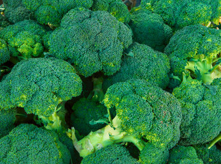 Heap of raw organic broccoli at farmers market. Local produce healthy plant based vegan diet detox concept. Creative food pattern vibrant colors