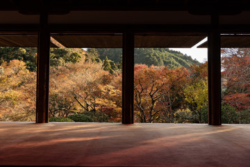 The view of Autumn garden from Japanese engawa terrace. Kyoto Japan.