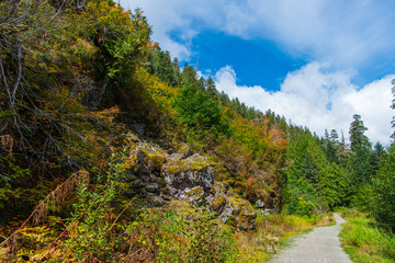 Fototapeta na wymiar Colorful Cascade Mountain Hiking Trail near the Mountain Loop Highway in Washington State in September