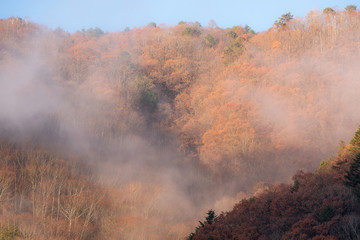 Mountain with low lying cloud and mist in a scenic landscape view. Early in the morning in autumn Japan.