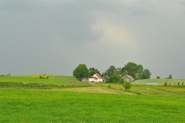 Obraz premium Wiosna