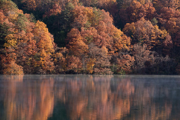 Autumn forest reflects on the lake early in the morning. Autumn in Japan.
