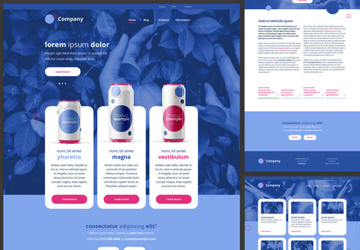 Website Design Layout with Blue and Pink Accents