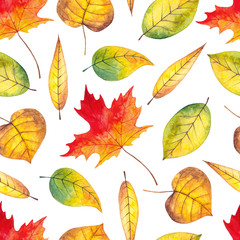 Autumn seamless watercolor pattern with colorful leaves on a white background. Hand drawn