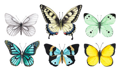 Obraz na płótnie Canvas Set of watercolor illustrations depicting bright white, yellow, green and blue butterflies isolated on a white background, hand-painted