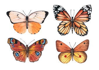Fototapeta na wymiar Set of watercolor illustrations depicting bright orange, red, brown butterflies isolated on a white background, hand-painted