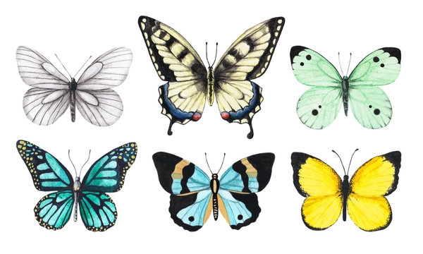 Set of watercolor illustrations depicting bright white, yellow, green and blue butterflies isolated on a white background, hand-painted